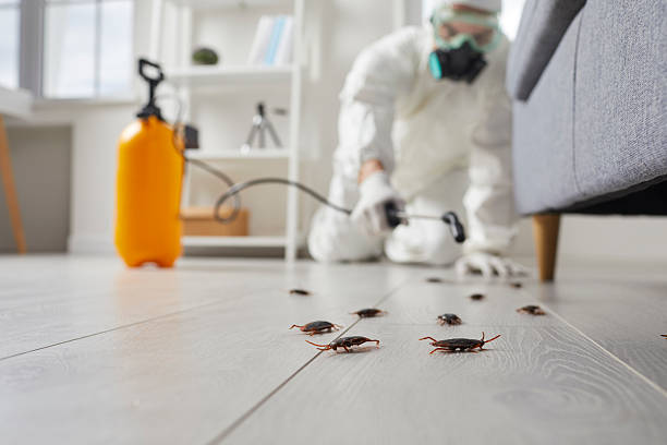 Trusted Cockroach Control service in Johnstown, PA - Nex Pest Control